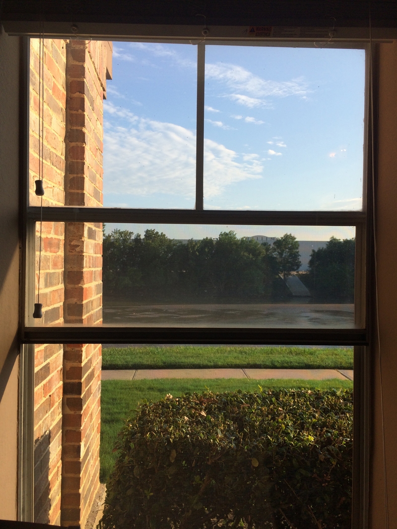 window.jpg