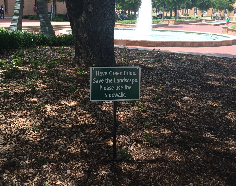 green.jpg