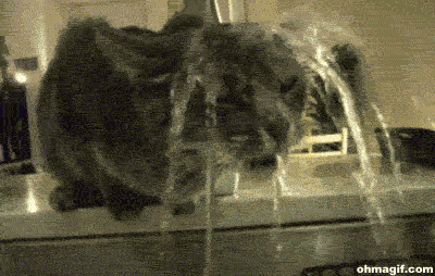 gBoF2YG.gif