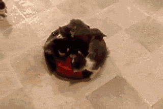 hu_1419389164_8868733901.gif